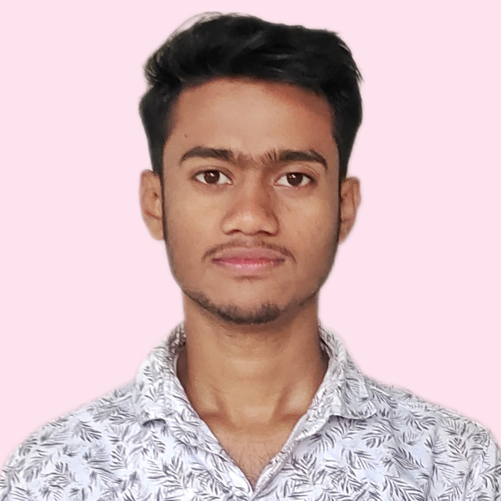 Lutfur Ali - Developer