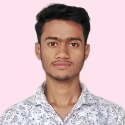 Lutfur Ali - Developer